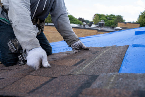Best New Roof Installation  in Junction City, CA