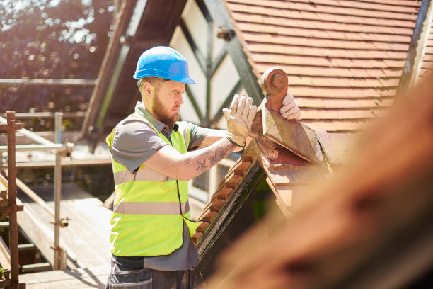 Best Gutter Installation and Roofing  in Junction City, CA